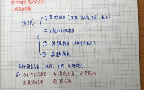 指导记录表指导内容6次（指导记录表指导内容记录11次）