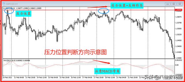 关于方向的知识有哪些英语（关于方向的知识有哪些图片）