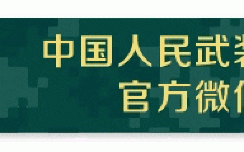 爱的声音作文600字记叙文（爱的声音多少音浪）