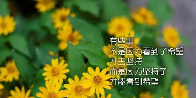 厚积薄发的励志句子图片（厚积薄发的励志句子的诗词）