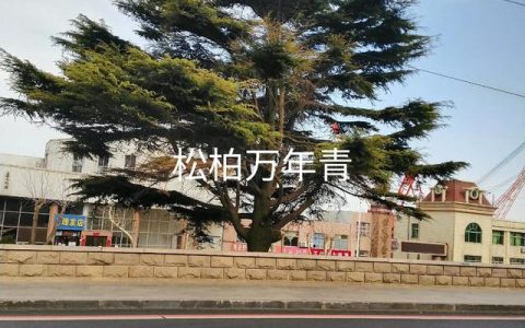 律师个人简介及业务专长，律师个人简介及业务专长怎么写