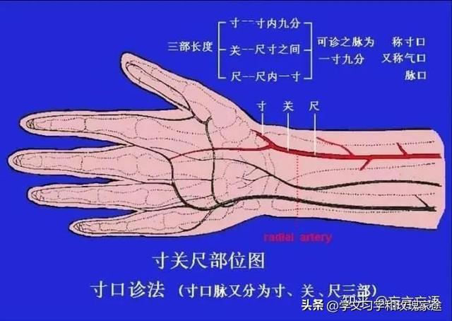 会意的近义词是什么词，会意的近义词是什么词是什么