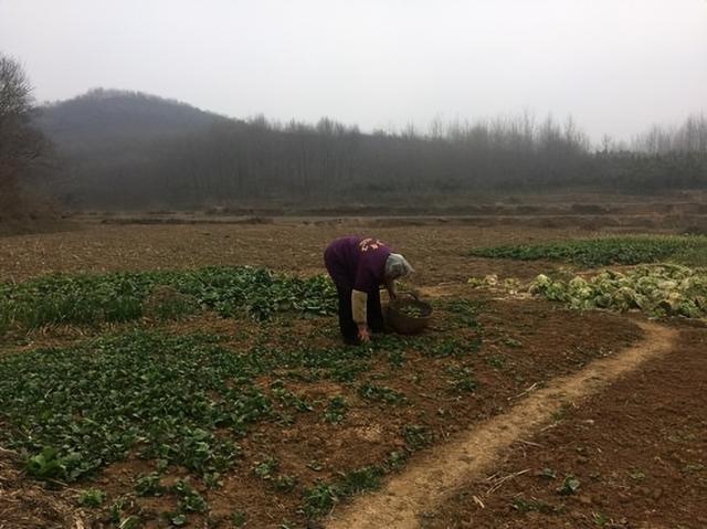 妈妈的快乐很简单文案，母亲快乐文案