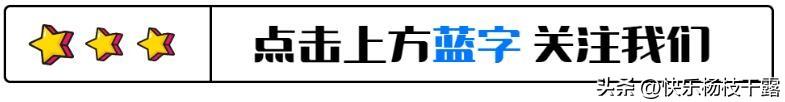 新疆教育信息网成绩查询，新疆教育信息网成绩查询内初班！