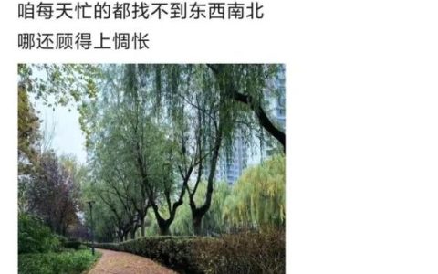 文章阅读网，文章阅读网_-_情感文章_-_美文故事_-_散文欣赏！