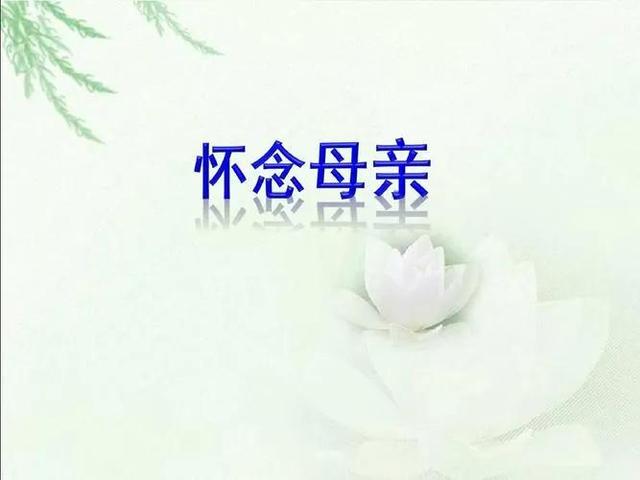 妈妈在家里很受委屈怎么办，妈妈在家里很受委屈的说说！