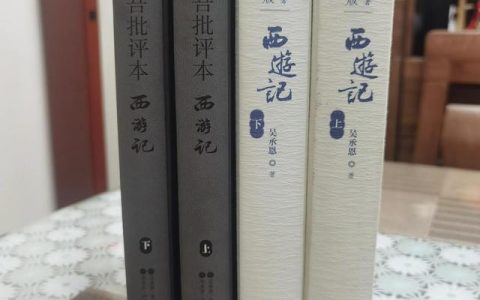 西游记有感500字中学生怎么写，《西游记》感悟500字中学生！