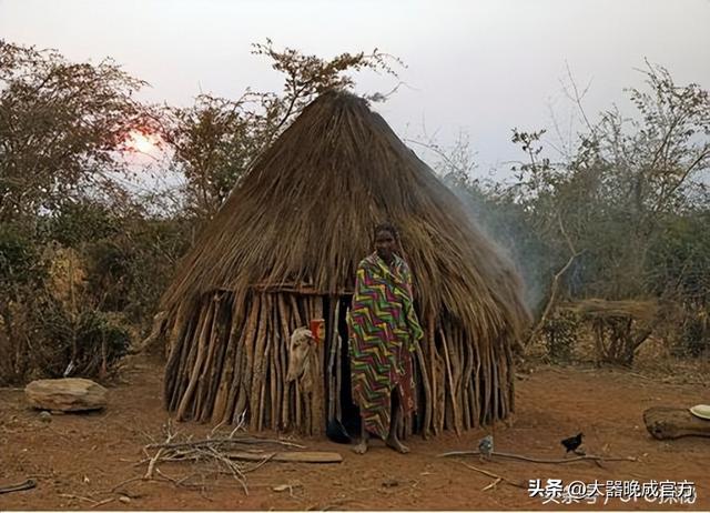 神奇的探险之旅作文500字热带雨林，神奇的探险之旅作文500字左右！