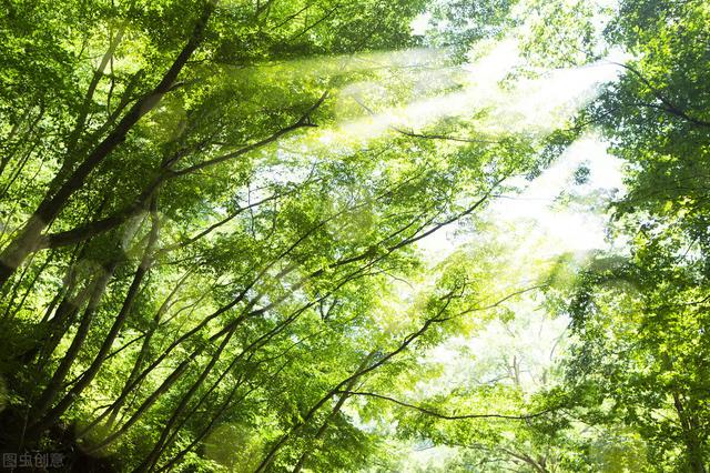 漫天遍野是成语吗，成语漫山遍野！