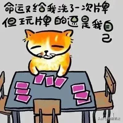 调动申请书怎么写，公务员调动申请书怎么写！