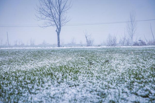 北国雪松香水，北国雪松香水什么牌子