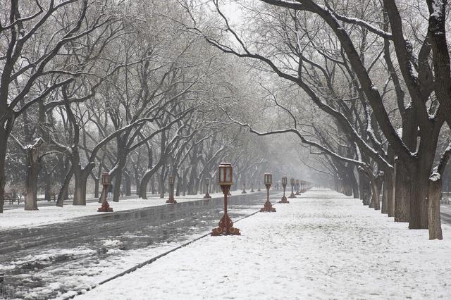 北国雪松香水，北国雪松香水什么牌子