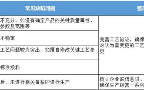 主要不足及具体事例，具体缺陷案例？