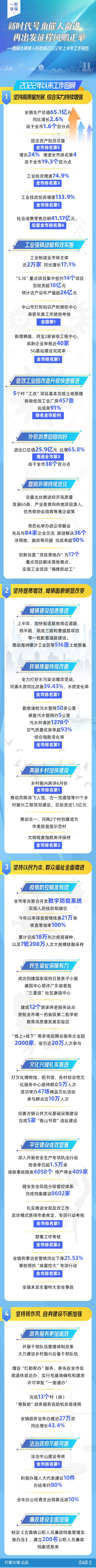 乡镇政府工作报告，乡镇政府工作总结？