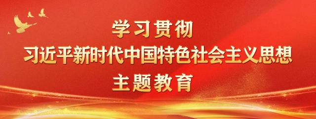 主题教育学习心得，主题教育心得体会？